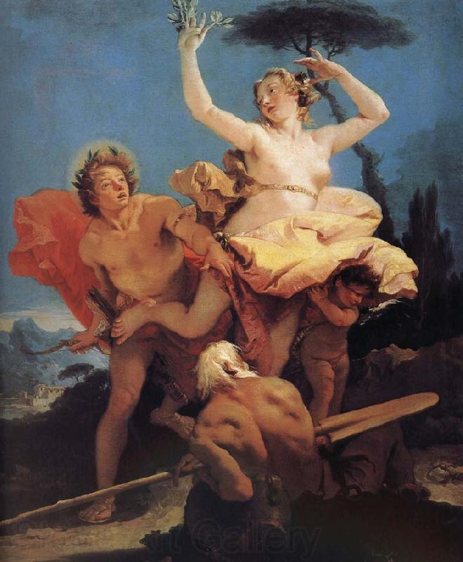 Giovanni Battista Tiepolo Apollo and Daphne Norge oil painting art